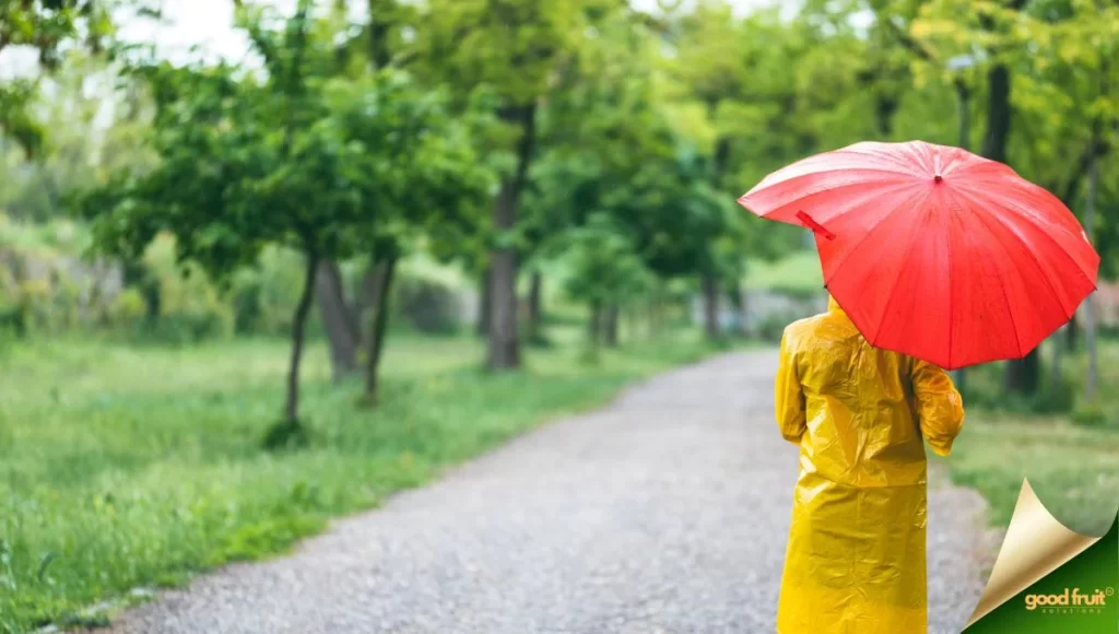 raincoat