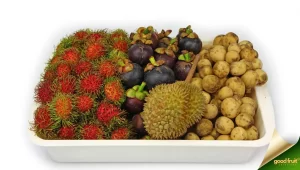 Seasonal fruits in Davao City: durian, rambutan, mangosteen, lanzones